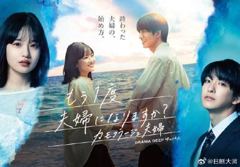 再做一次夫妇的夫妇海报